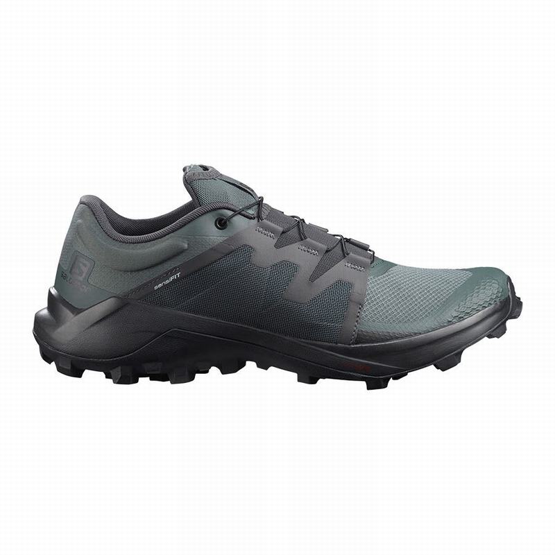 Zapatillas Trail Running Salomon Hombre Verde - Salomon Argentina WILDCROSS ,319627-XMN